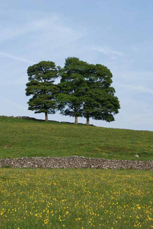 Dovedale Cottages