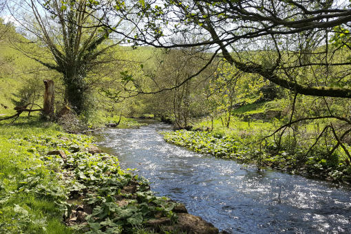 Thorpe Cloud, Dovedale & Tissington Trail (10 miles)