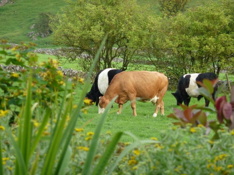 Luxury Holiday Cottages Peak District Derbyshire Ashbourne Self